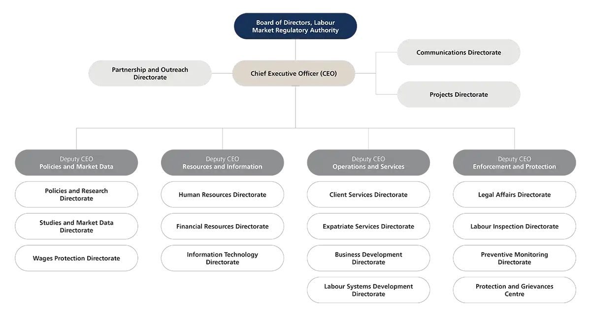 Organization Structure